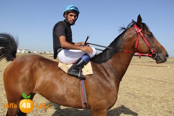 horse race 0602 (21).JPG